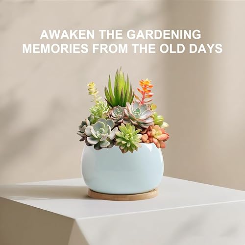 Vista 5 de Jusalpha Maceta grande de cerámica de 5 pulgadas con orificio de drenaje y platillo de bambú para plantas de interior, maceta 07 (azul)