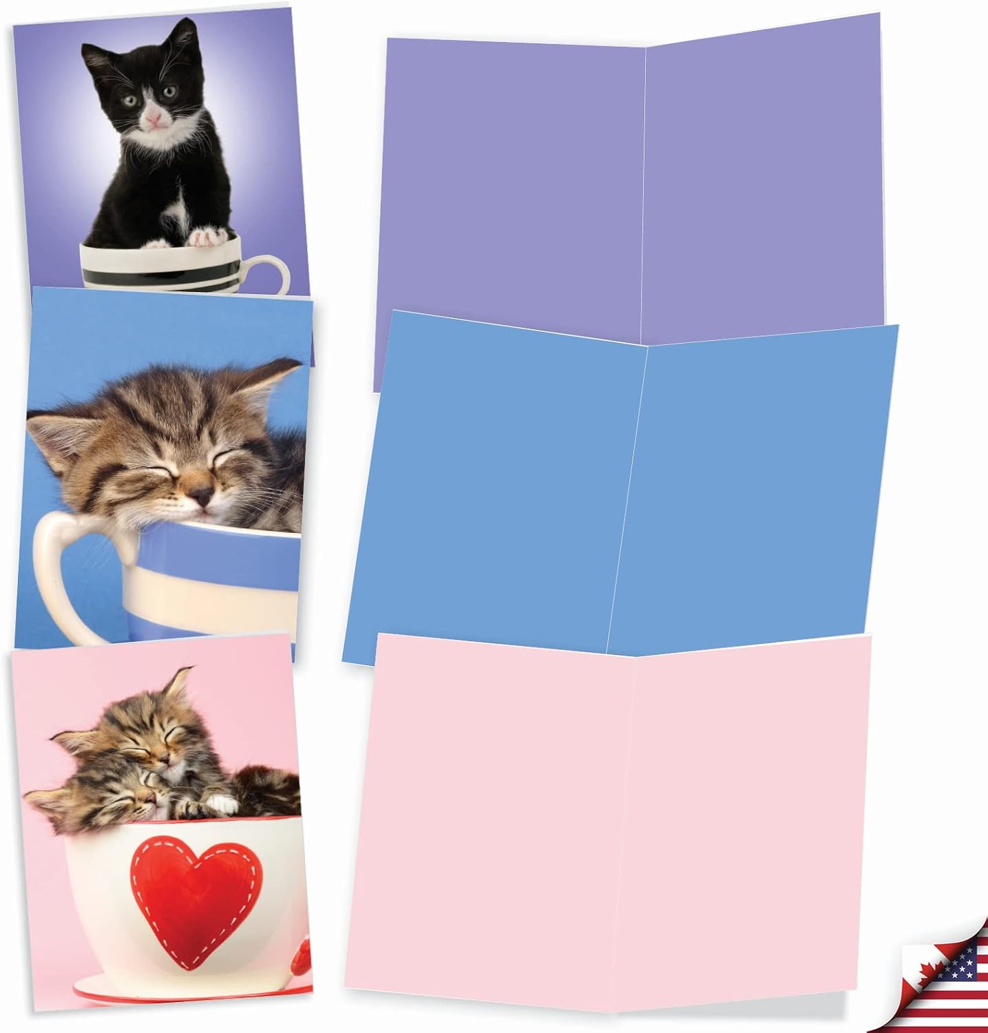 The Best Card Company - 10 Adorable Blank Cat Cards (4 x 5.12 Inch) - Cute Pet Kittens, Assorted Bulk Notecard Set - Cup-Cats M3969 image 2