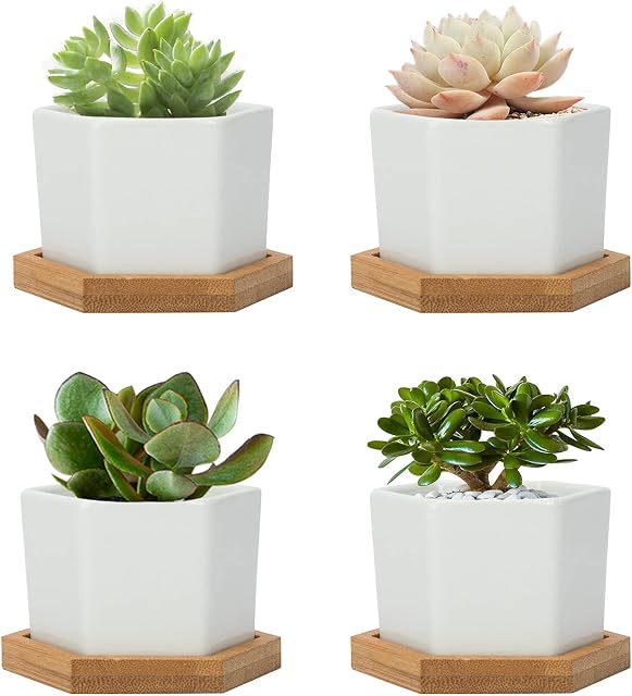 Warmplus 7CM Succulent Plant Pots, Simple Design Hexagon Small Flower Pot, White Ceramic Cactus Pots with Bamboo Tray and Drainage Hole, Great for Home Office Decor, Set of 4 (Plants Not Included)