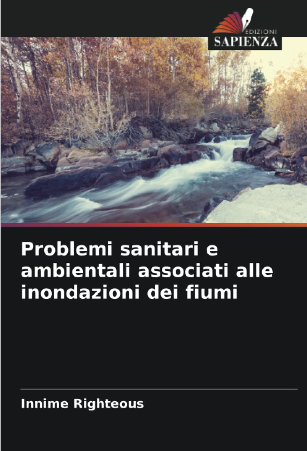 Inondations des fleuves : impacts sanitaires et environnementaux - Guide complet en format livre