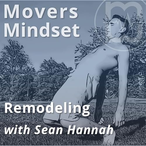 Remodeling with Sean Hannah