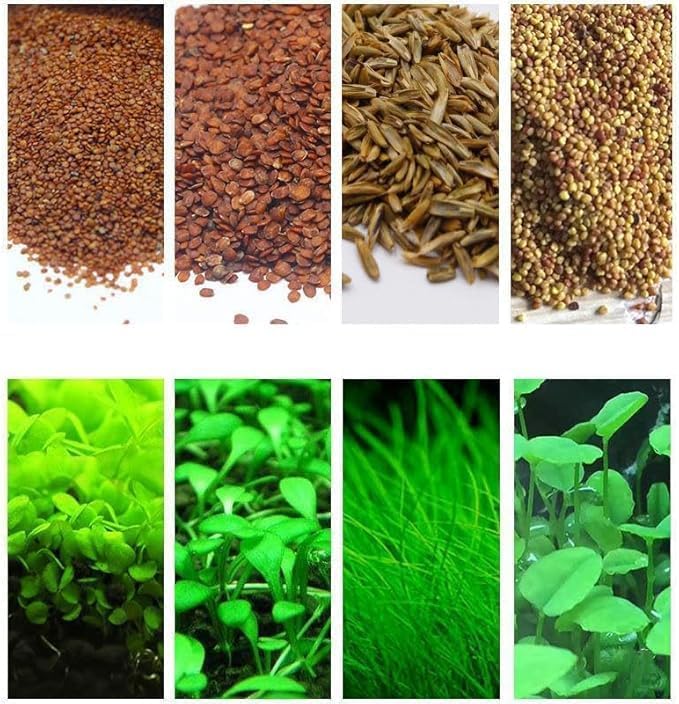 4 Bags Aquarium Plant S.e.e.ds not Artificial Plastic Plant Fish Tank Live Grass for All Substrate