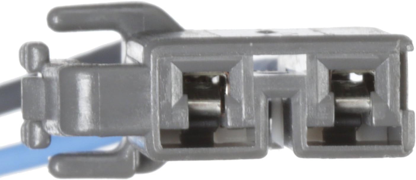 Delphi FE0681 Fuel Pump Strainer Set