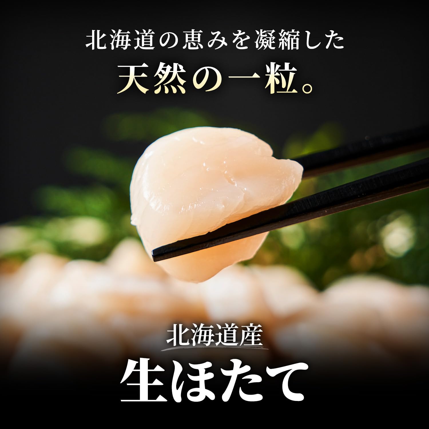 Amazon.co.jp: 北海道きたれん 北海道産 ほたて 貝柱 3S～4Sサイズ 