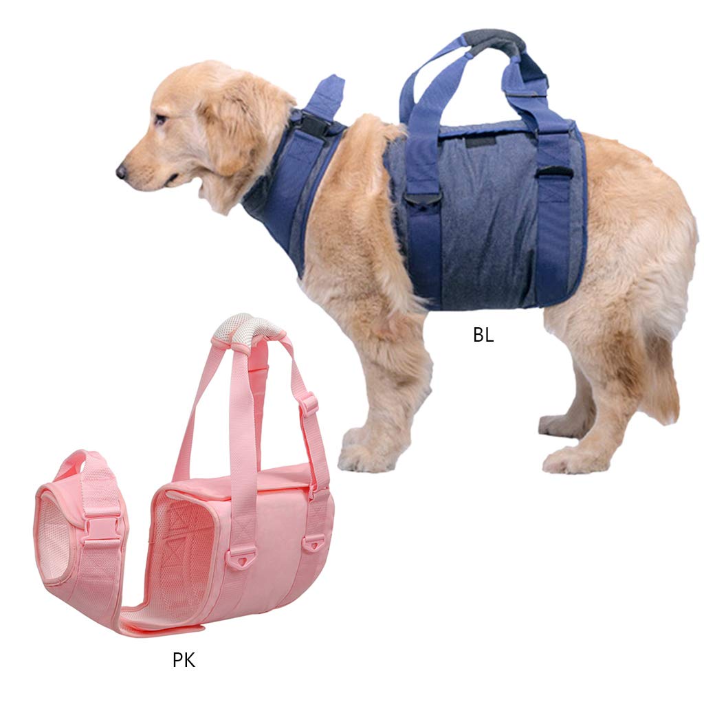 Arnés para cachorros con chaleco acolchado para perros mayores, fácil control, transpirable, arnés de malla para todo tipo de clima, para perros grandes