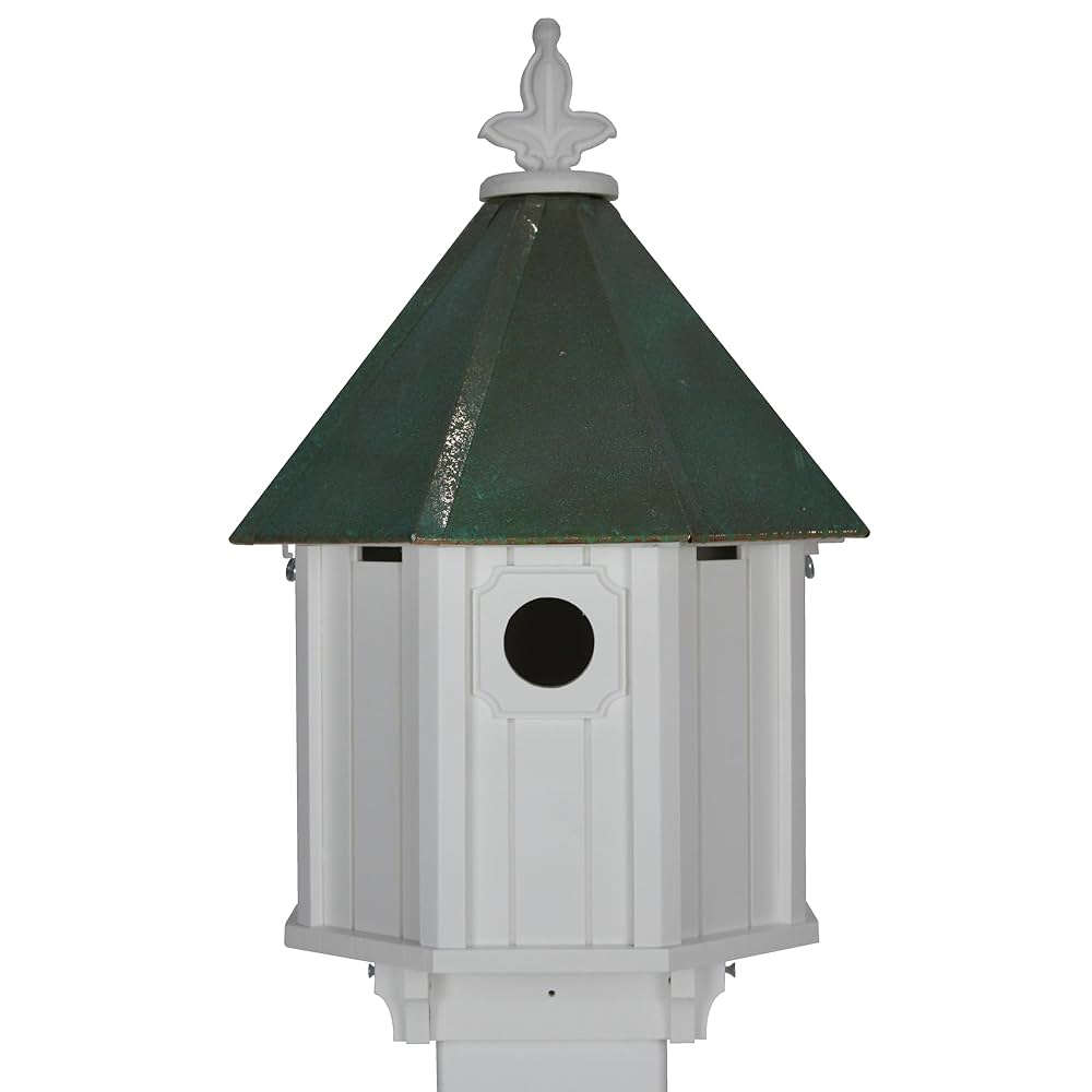 Amazon.com: NC Birdguy Bluebird Songbird Duplex Bird House