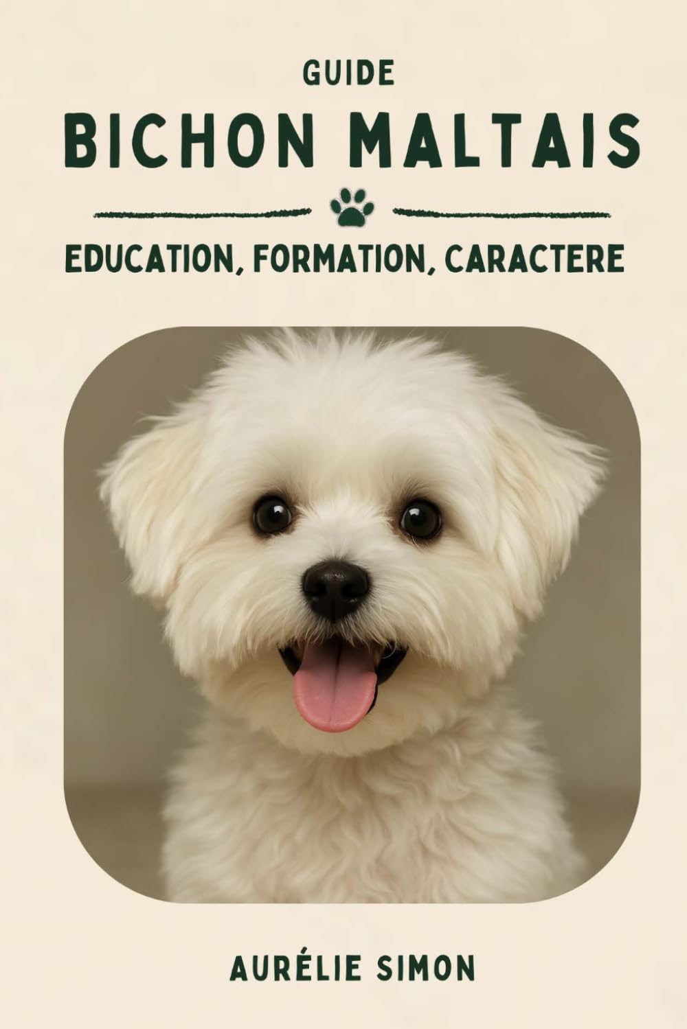 Bichon Maltais: Education, Formation, Caractère du Maltais