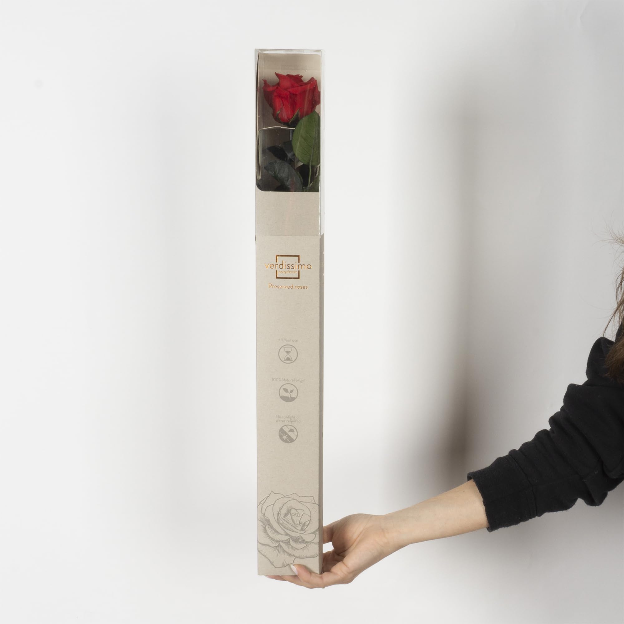 Rosa Stabilizzata Vera, Fiori 100% Made in Italy - Pronta in Elegante Confezione Regalo con Nastrino - Idea Regalo Mamma, Anniversario, Compleanno Donna e San Valentino, Rose con Stelo (Rossa, 1)