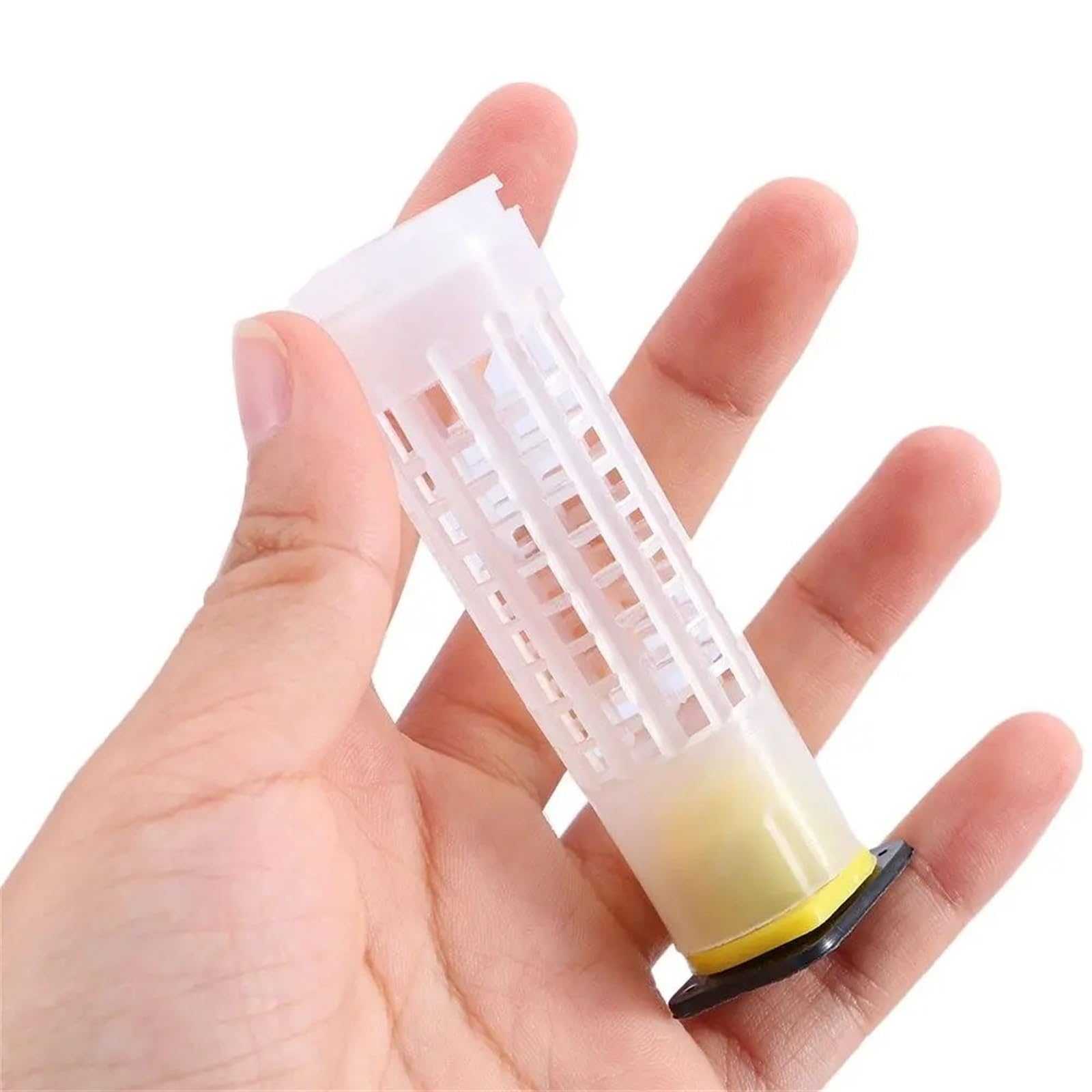 Amazon.co.jp: 養蜂用プラスチック製キングビーホルダー 器具ボックス