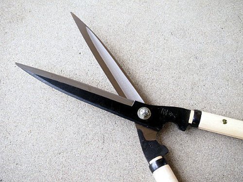 値下げ検討】佐保 手すき裏 刈込鋏 240mm 短柄 青紙鋼 (手入れ 剪定