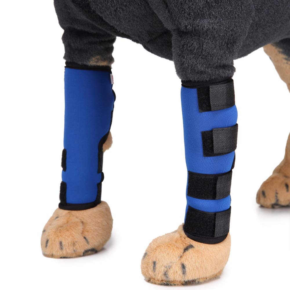 Canine Dog Hock Brace Rear Leg Joint Wrap Protects Dog Rear Leg Braces Rehab Knee Protector Heals and Prevents Injuries and Sprains Helps with Loss of Stability Caused by Arthritis 1 Pair (S, Blue)