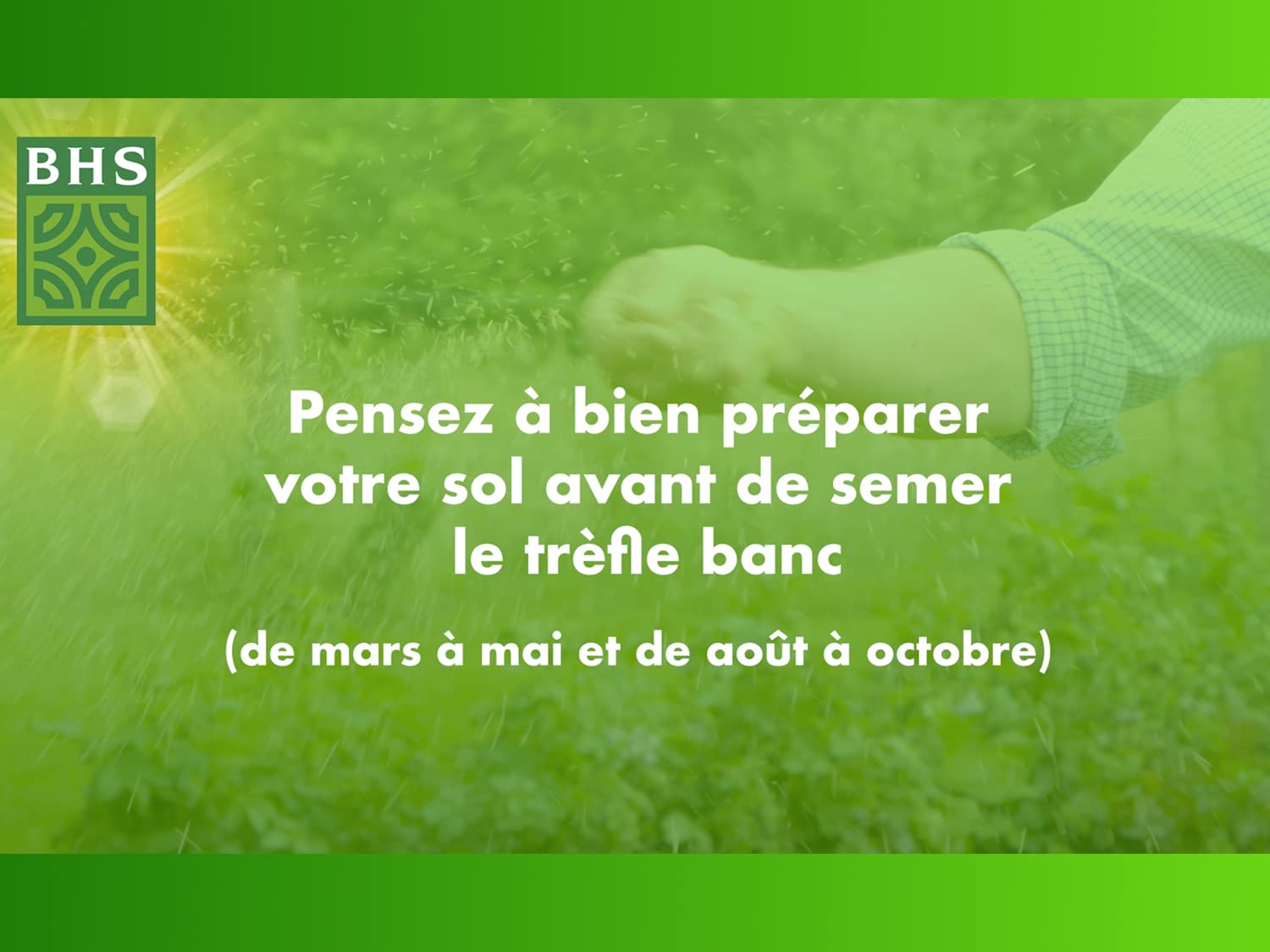 BHS Trefle Blanc - Favorisce la biodiversità, si adatta a tutti i tipi di terreno, 500 g, 500 m², resistente al calpestio TRE500