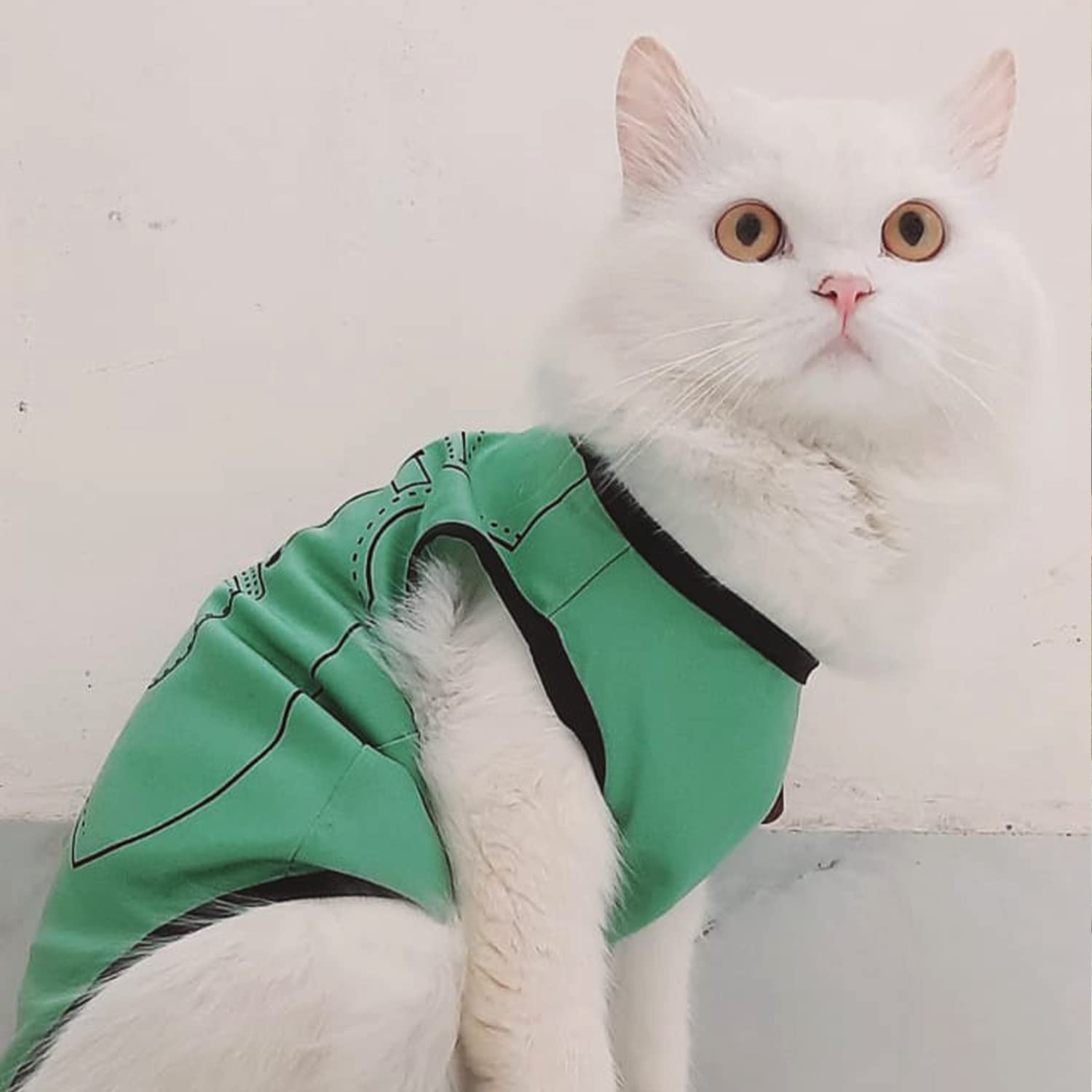 Lulala Polyester Cute Puppy Shirts - Soft Summer Dog Clothing, Breathable Pet Apparel & Outfits for Dogs & Cats (Parrot Green, 16 INCH)