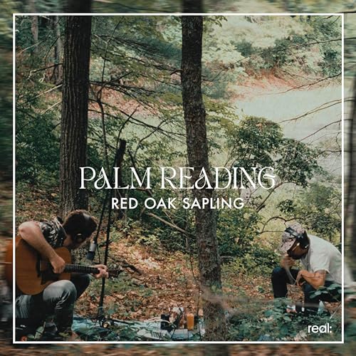 Palm Reading