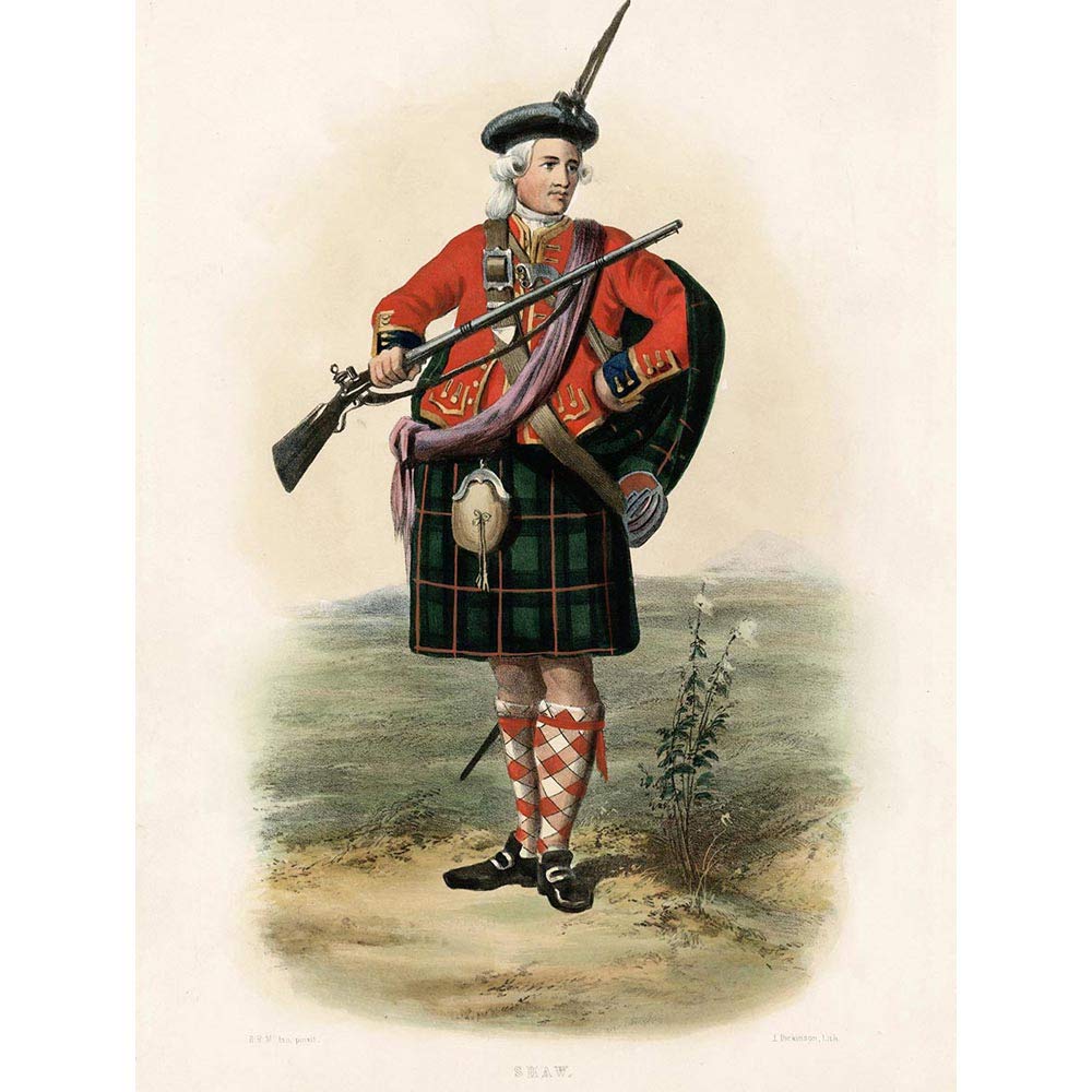 Wee Blue Coo Painting Portrait Highland Clan Scotland Tartan Shaw Art Print Poster Wall Decor 12X16 Inch