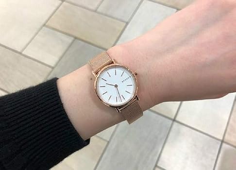 デウス エクスマキナ 未使用品☆【SKAGEN】SIGNATUR SKW2694