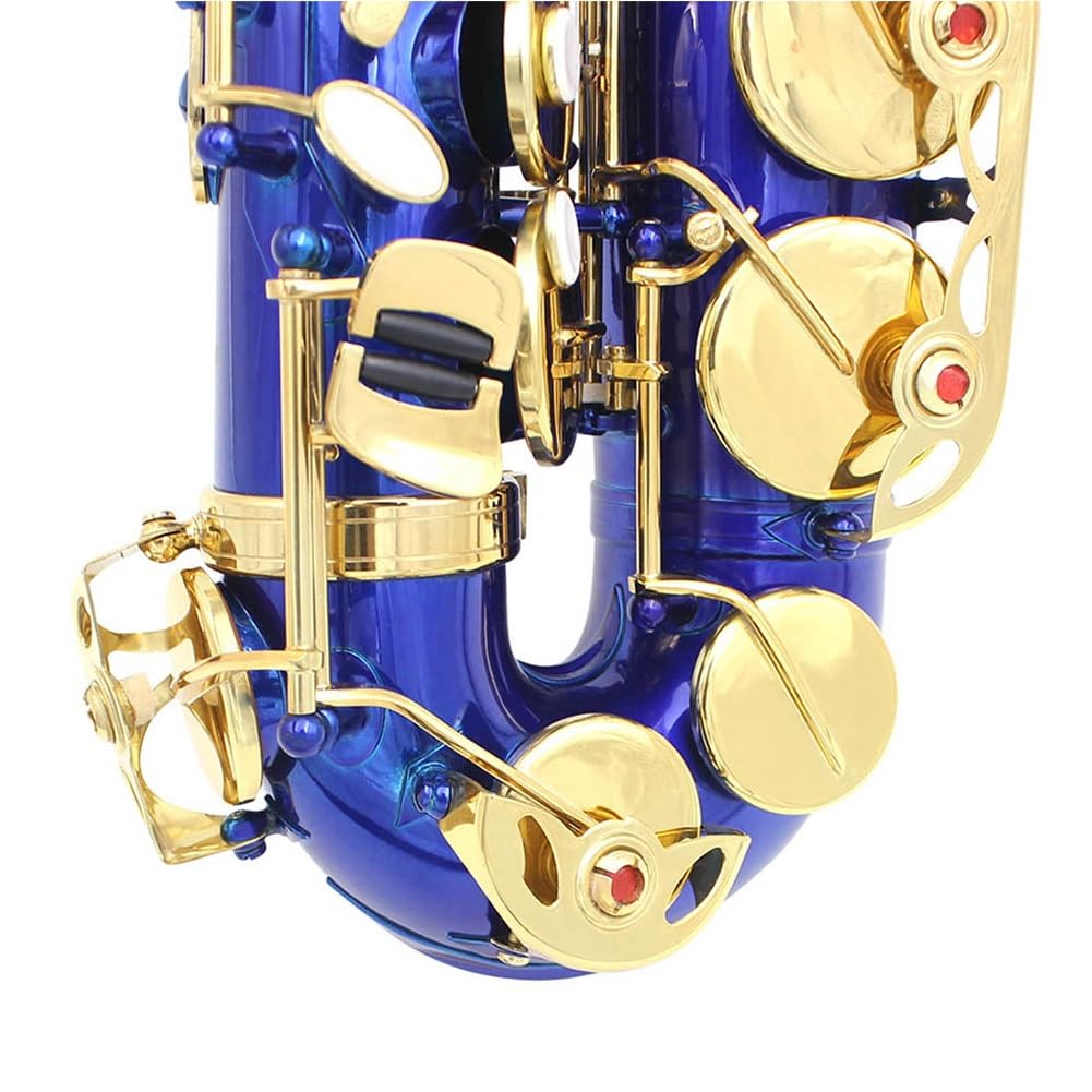 Accessori per strumenti a fiato per sassofono contralto professionale in mi bemolle in ottone laccato blu, completi per principianti