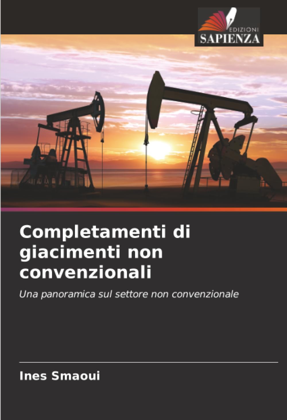 Completamenti di giacimenti non convenzionali: Una panoramica sul settore non convenzionale