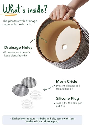 Miniatura 5 de LE TAUCI Macetas para suculentas, maceta de cerámica de interior de 6.5 + 8 pulgadas con orificio de drenaje, moderna maceta decorativa redonda,