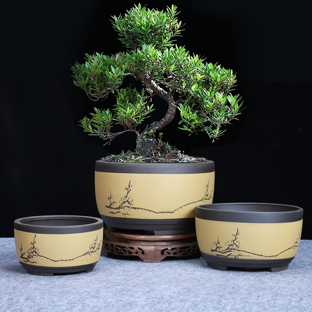 Fioletowa doniczka z piaskiem Prosta, oddychająca średnica doniczki Bonsai Doniczka Sukulenty Bonsai Doniczka Ceramiczne doniczki Umywalka wentylacyjna