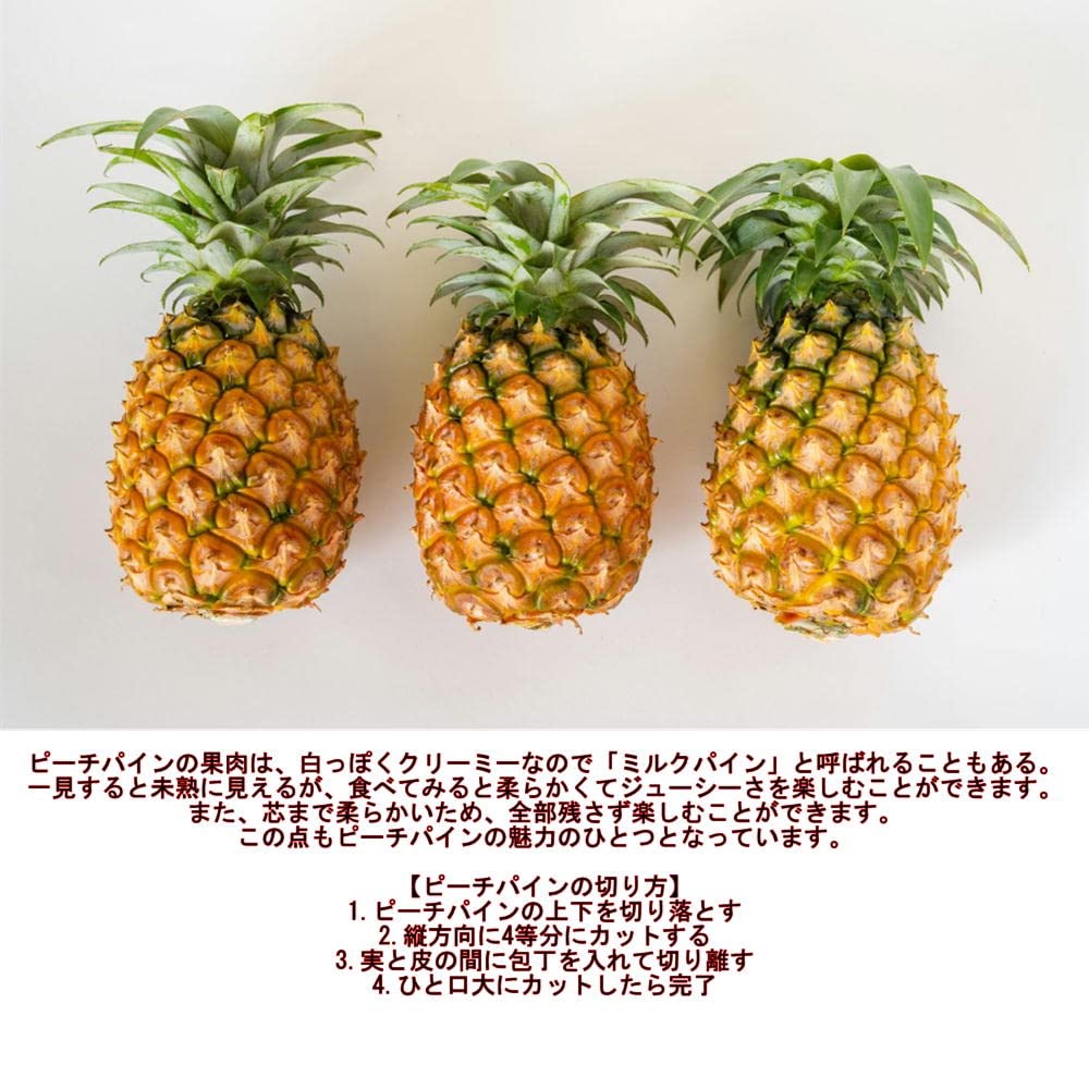 Amazon.co.jp: ピーチパイン 1.8kg（2〜5本） 西表島産 アララガマ