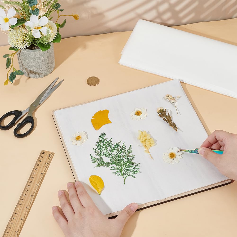 BENECREAT 50 fogli di carta assorbente per pressa per fiori, 26 x 26 cm, carta assorbente altamente assorbente e riutilizzabile, per fiori e erbario
