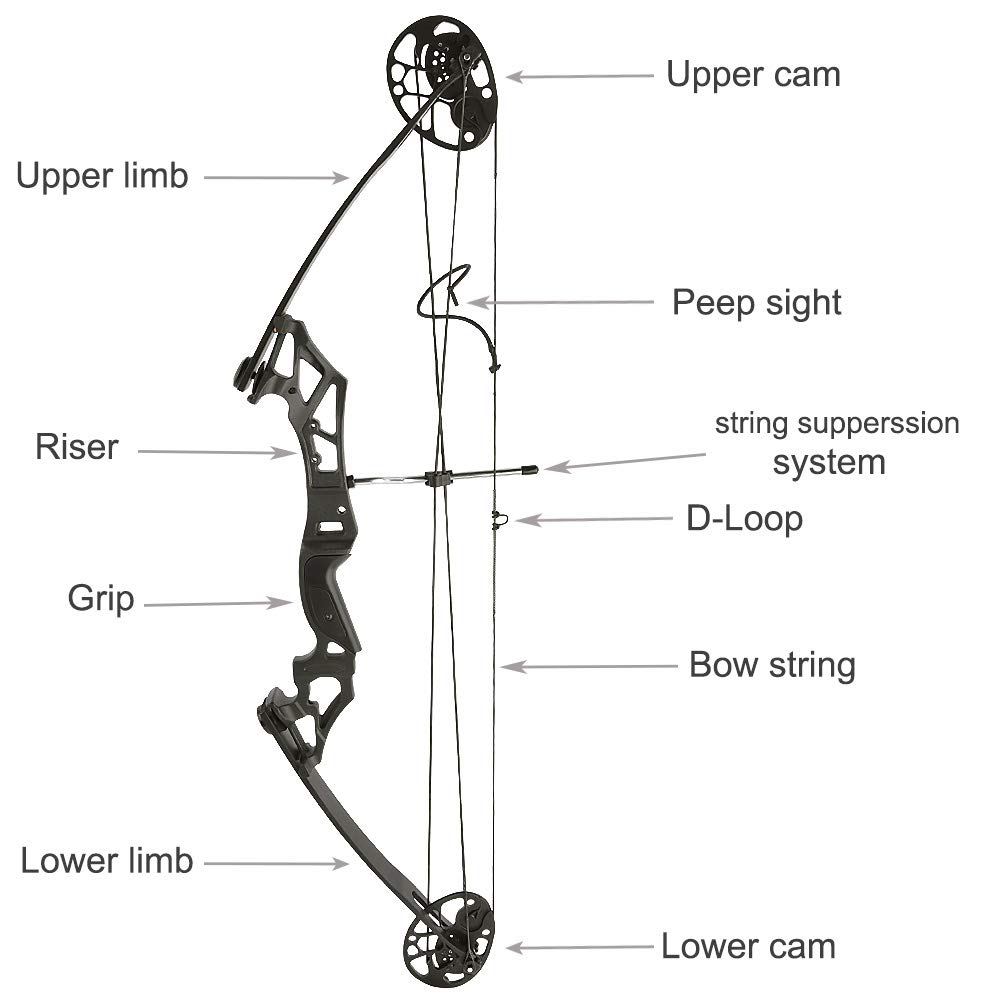 PSE Bow,CITATION40,SE,R,NB,29-60