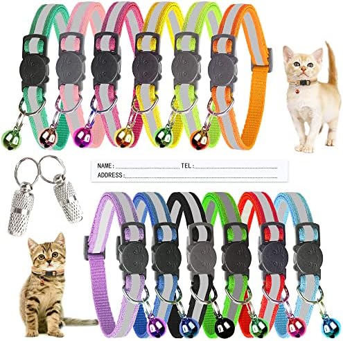 cheap kitten collars