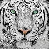 5D Diamond Painting Stickerei Set für Home Dekoration .❤️ Der Harzdiamant ungenießbar, lassen Sie Kinder nicht spielen, um Unfälle wie Schlucken zu vermeiden.Diamanten, um klebrige Gummidichtheit zu bleiben.