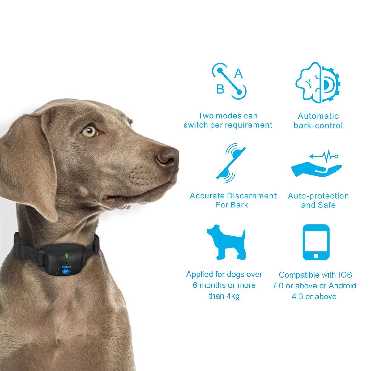 dog shock collar with app