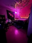 Review Image by Amazon Customer