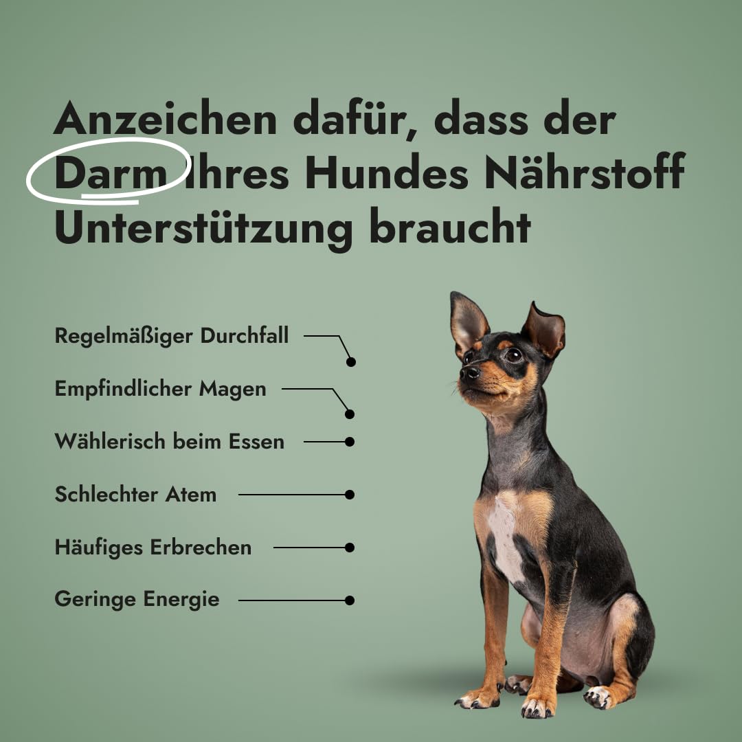 Gut Guard Verdauungsgesundheit Hunde Probiotika 150g, Probiotisches & Präbiotisches Pulver für eine gesunde Verdauung & Immunsystemstärkung (‎‎150 g (1er Pack))