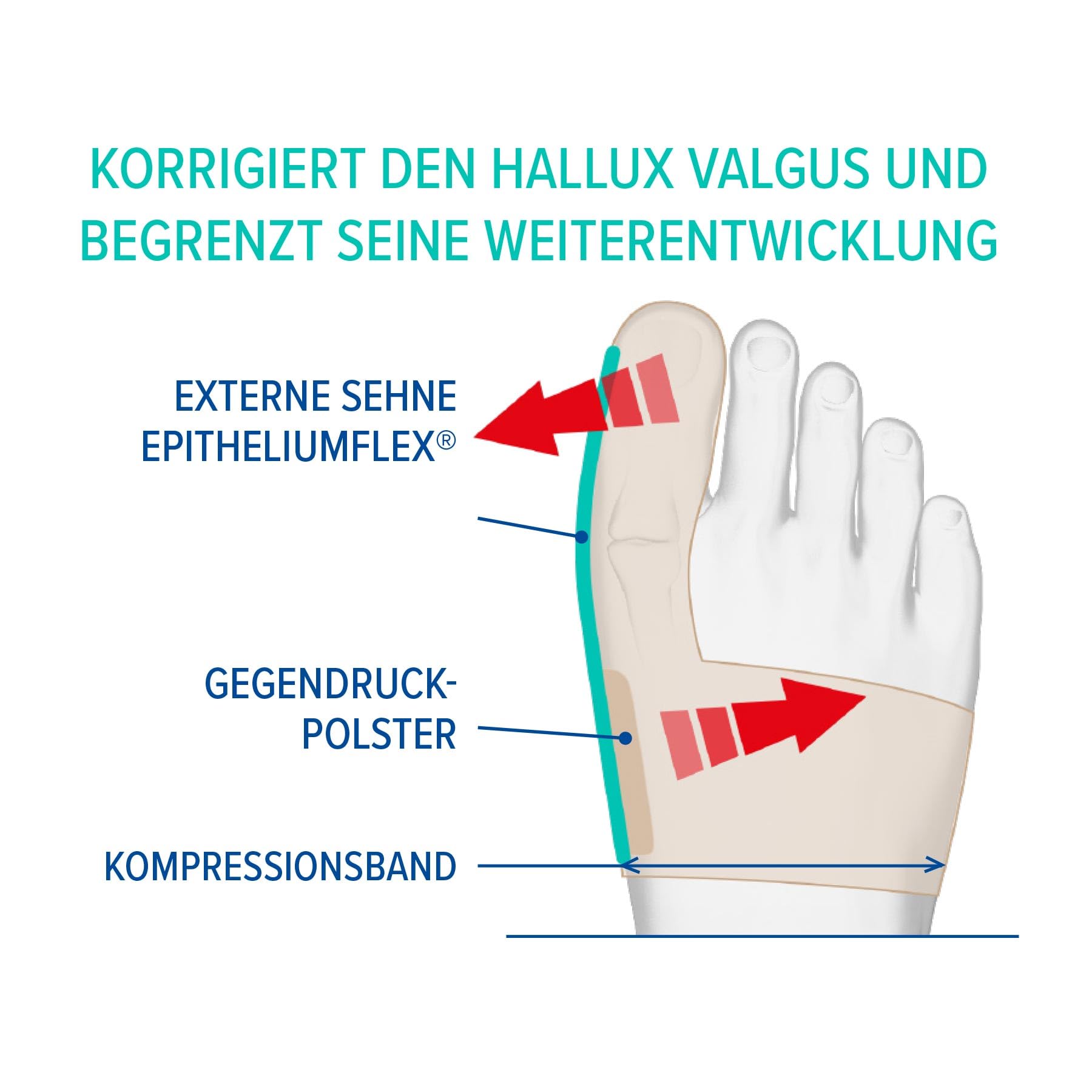 Epitact | Hallux Valgus Flexible Korrekturbandage Für Den Tag Begrenzt Die Entwicklung Des Hallux Valgus & Lindert Schmerzen Während Aktiven Tätigkeiten Am Tag Für Beide Füße (M)