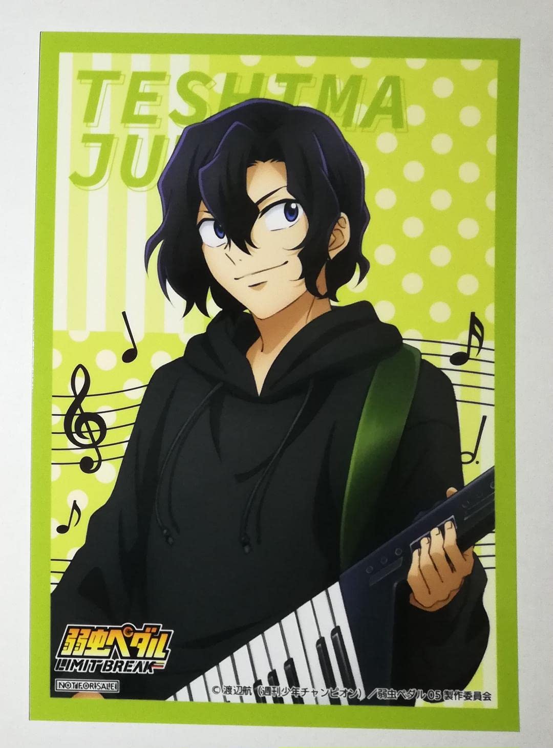 弱虫ペダル ヴィレッジ・ヴァンガード タペストリー 手嶋純太 弱虫ペダル × ヴィレッジヴァンガード 9.5より限定 弱ペダ