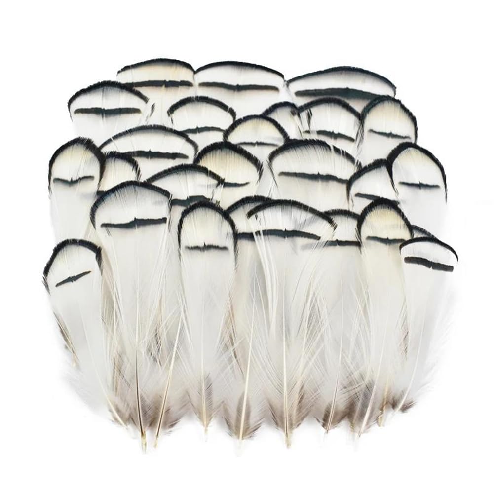 Piume naturali di fagiano, Piume di fagiano naturali realizzate a mano 4-8 cm Confezione multipla artigianale fai-da-te(200 Piece)