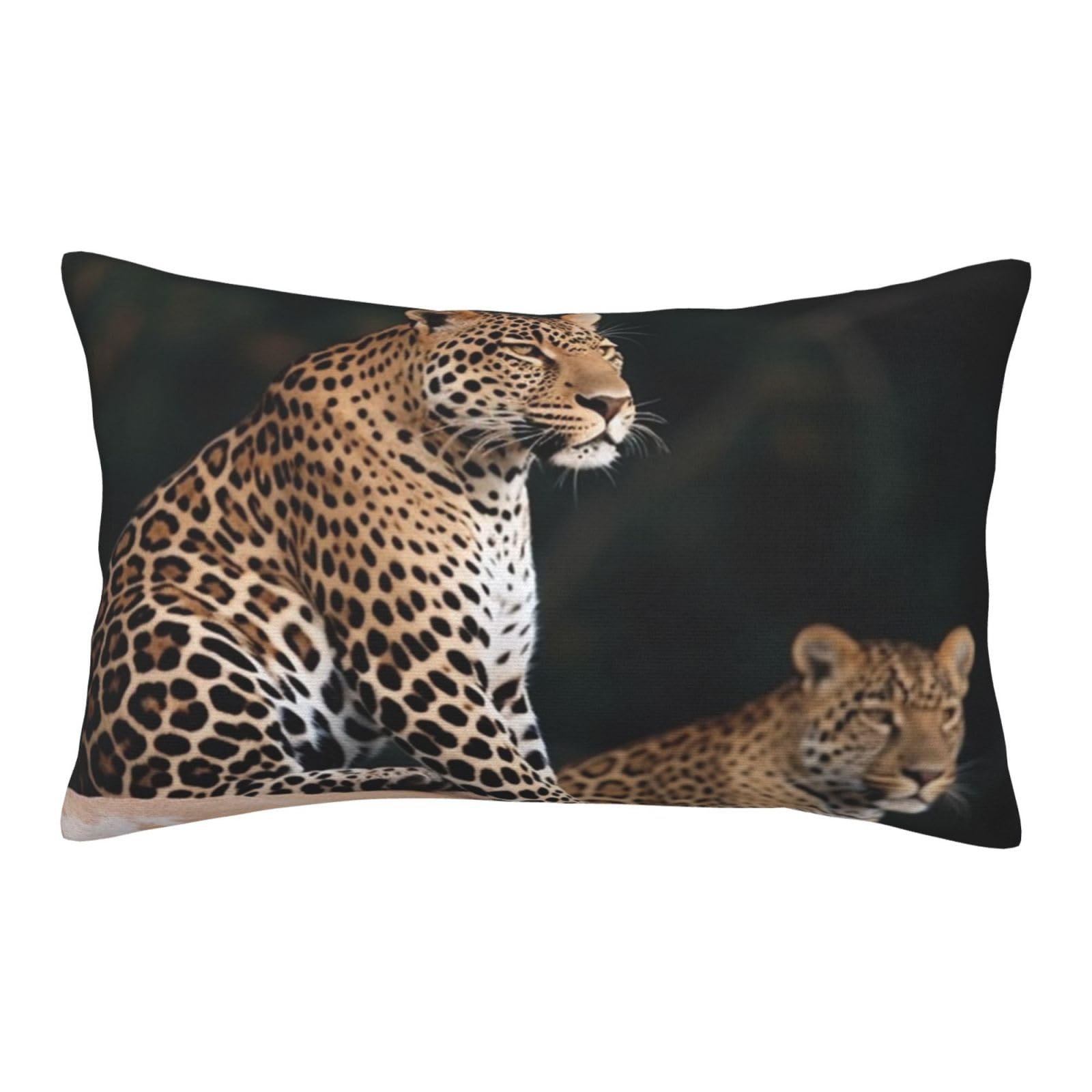 Velvet Pillowcases 14"x20" Ultra Soft Breathable Pillow Cases, Luxury Fuzzy Throw Pillow Covers with Zipper, African Leopard on Rock Pillow Shams All Seasons Decorative Cushion Cases for Couch