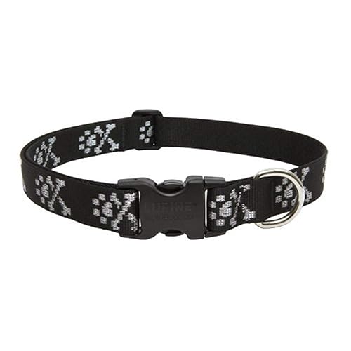 Lupine Dog Collar 1" Wide Bling Bonz Adjusts from 12" to 20" - 1" wide; adjusts from 12" to 20"