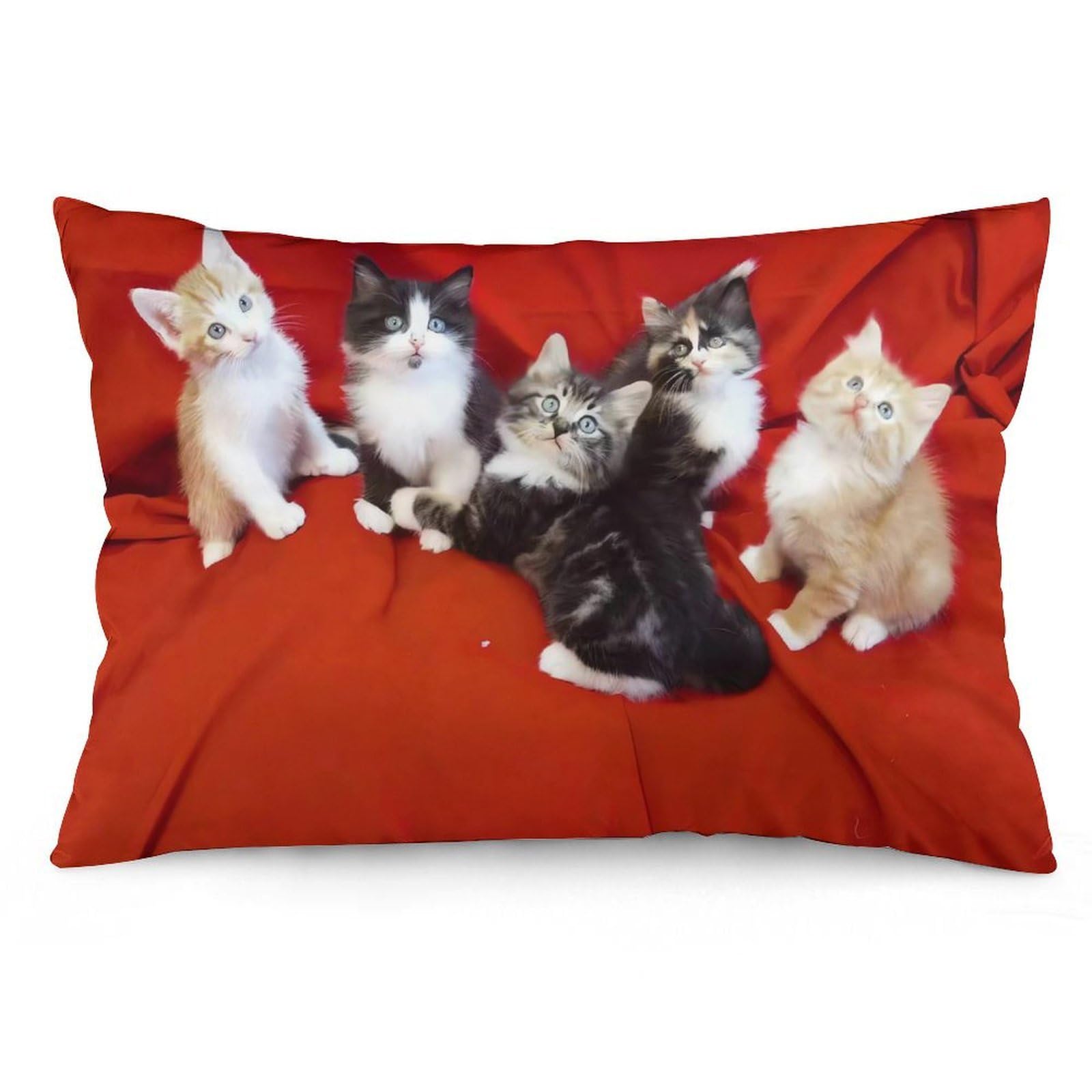 Velvet Pillowcases Standard Size 12 "x20, Ultra Soft Breathable Pillow Cases for Bed, Luxury Cozy Fuzzy Pillow Shams, Lumbar Pillow Cover, Cat Cushion Case Home Decor