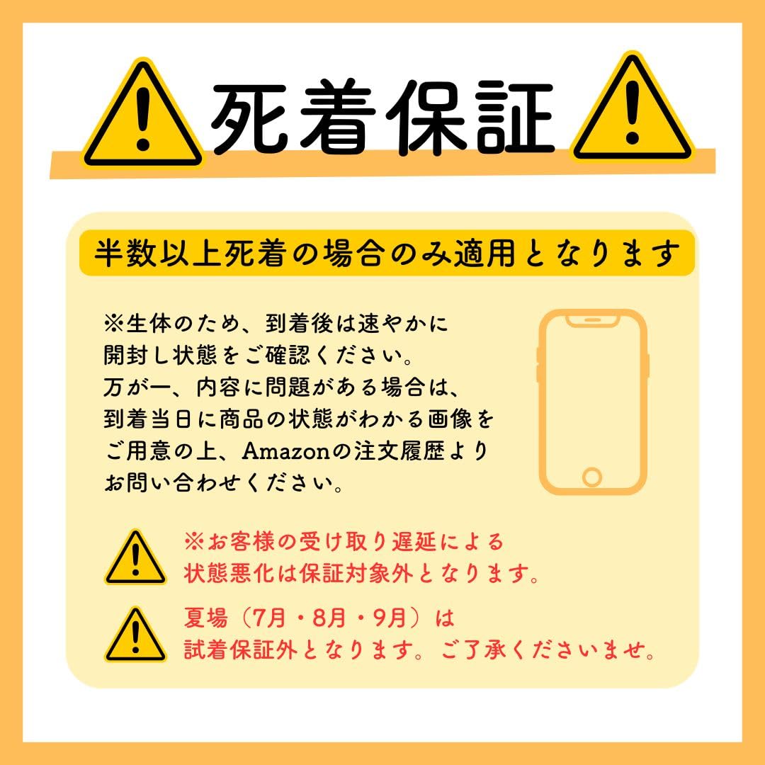 Amazon | デュビア, 各サイズ選択可能あり, Lサイズ(2.5～3.0cm), 死着 