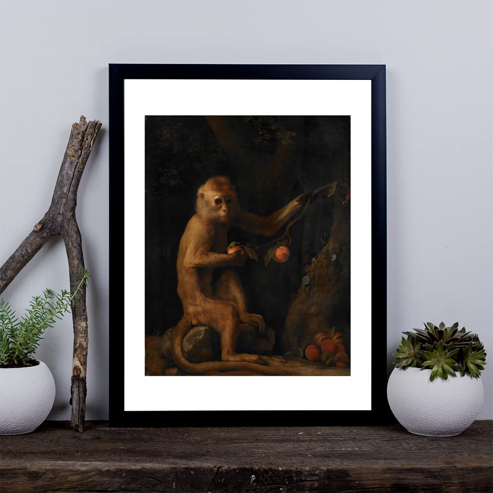 Décoration d'intérieur George Stubbs Un singe poster - 3