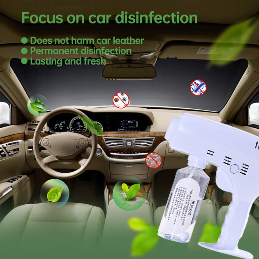 Disinfettante Portatile Pistola a Vapore 1200W Fogger Portatile per Macchina del Fumo Fogger 250ML Nebulizzatore per Auto da Interno casa,EU