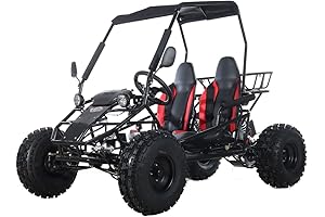 X-PRO Go Cart for Adults: Gas Powered, Street Legal, 125cc