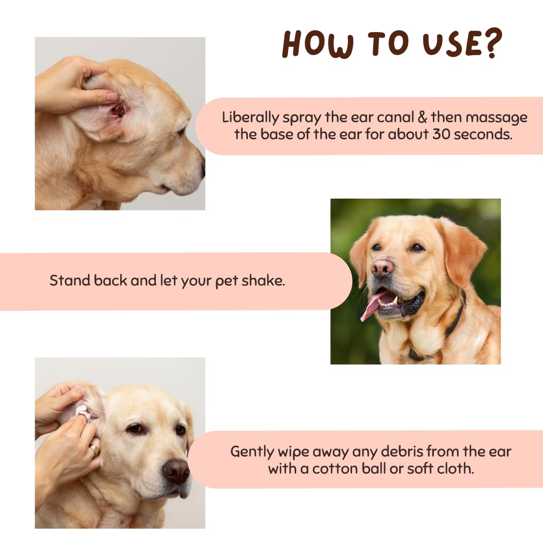 Coco Crush 100% Natural Pet Ear Cleaner-Fastest Itch Relief&Squeaky Clean Ears|for Dogs and Cats|Effective&Gently Removes Dirt&Wax|Prevents Ear Discharge&Odour,Treats Ear Mites(50Ml) 2