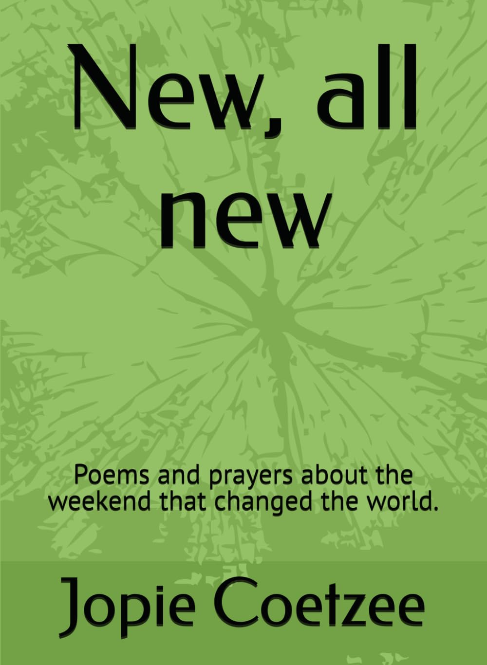 New, all new: Poems and prayers about the weekend that changed the world.