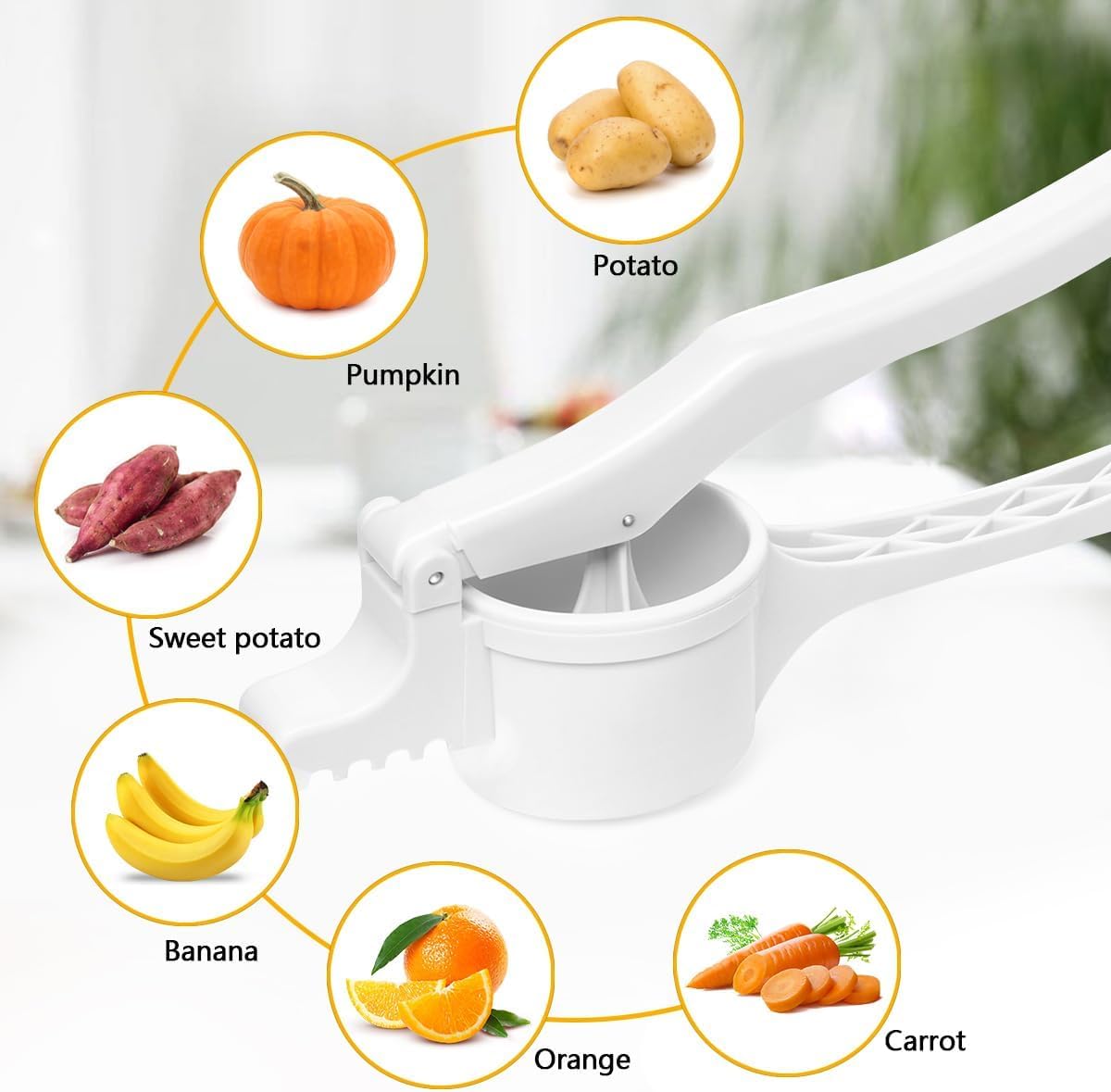 Various foods that can be processed by the ricer: pumpkin, potato, sweet potato, banana, orange, carrot