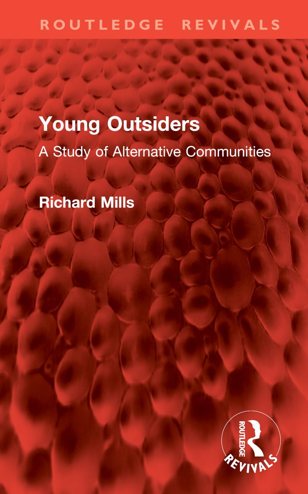 Young Outsiders: A Study of Alternative Communities (Routledge Revivals)