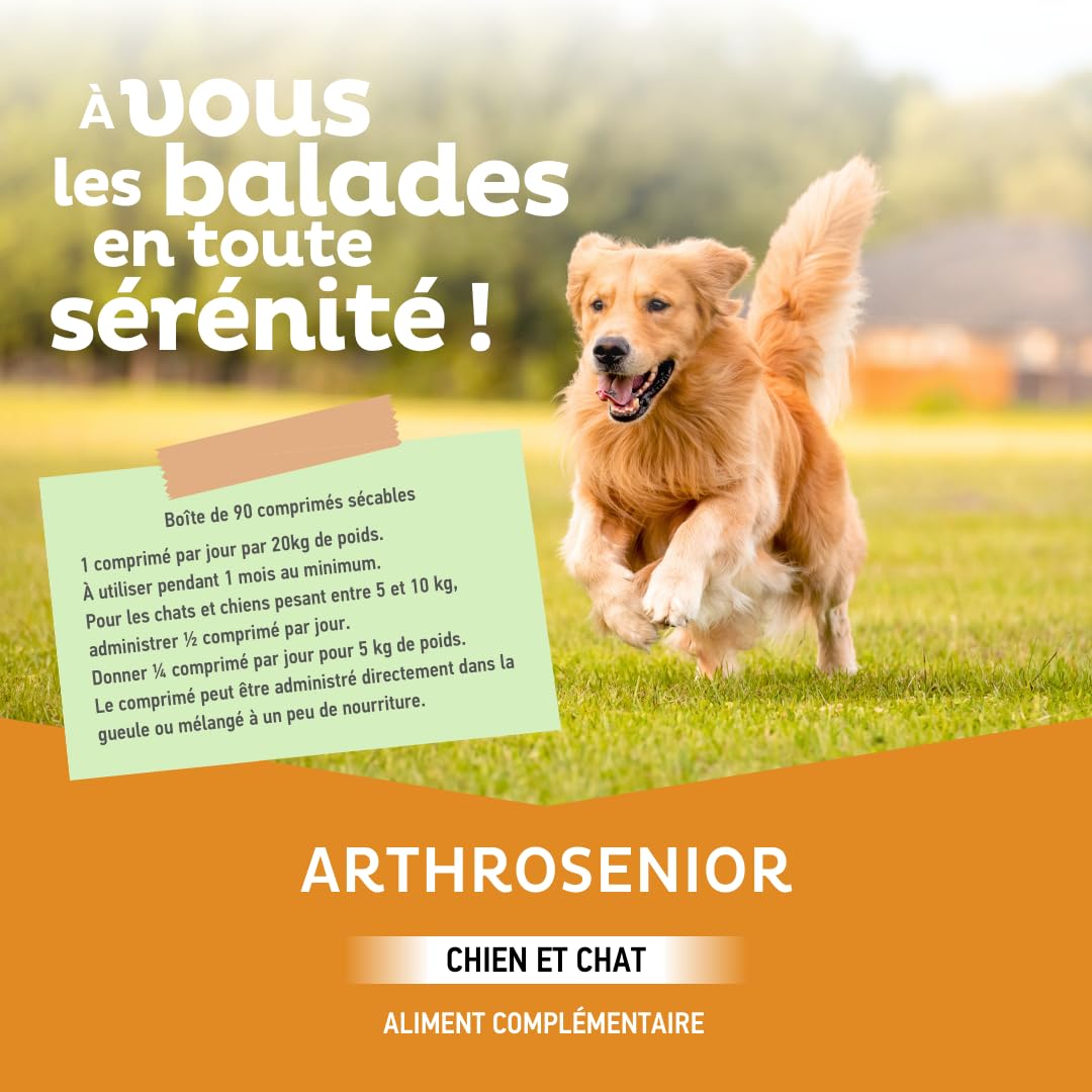 Clément Thékan Arthrosenior Grand Format - Aide à la mobilité articulaire chez Le Chien et Le Chat - Stimule la régénération du Cartilage - 90 comprimés sécables aromatisés