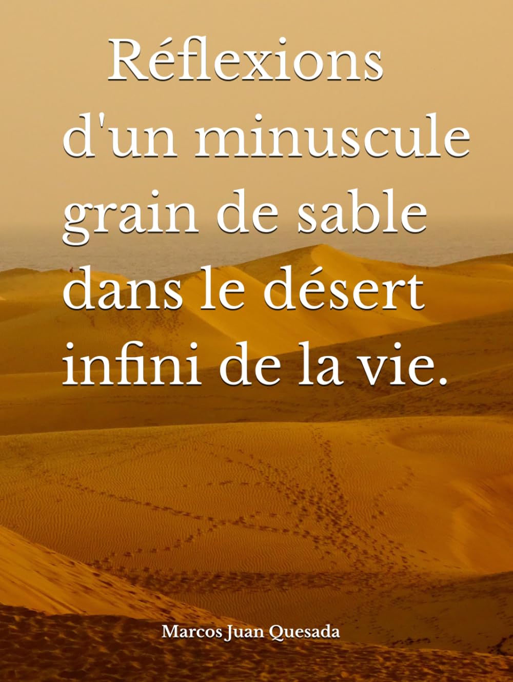 Réflexions d'un minuscule grain de sable dans le désert infini de la vie.