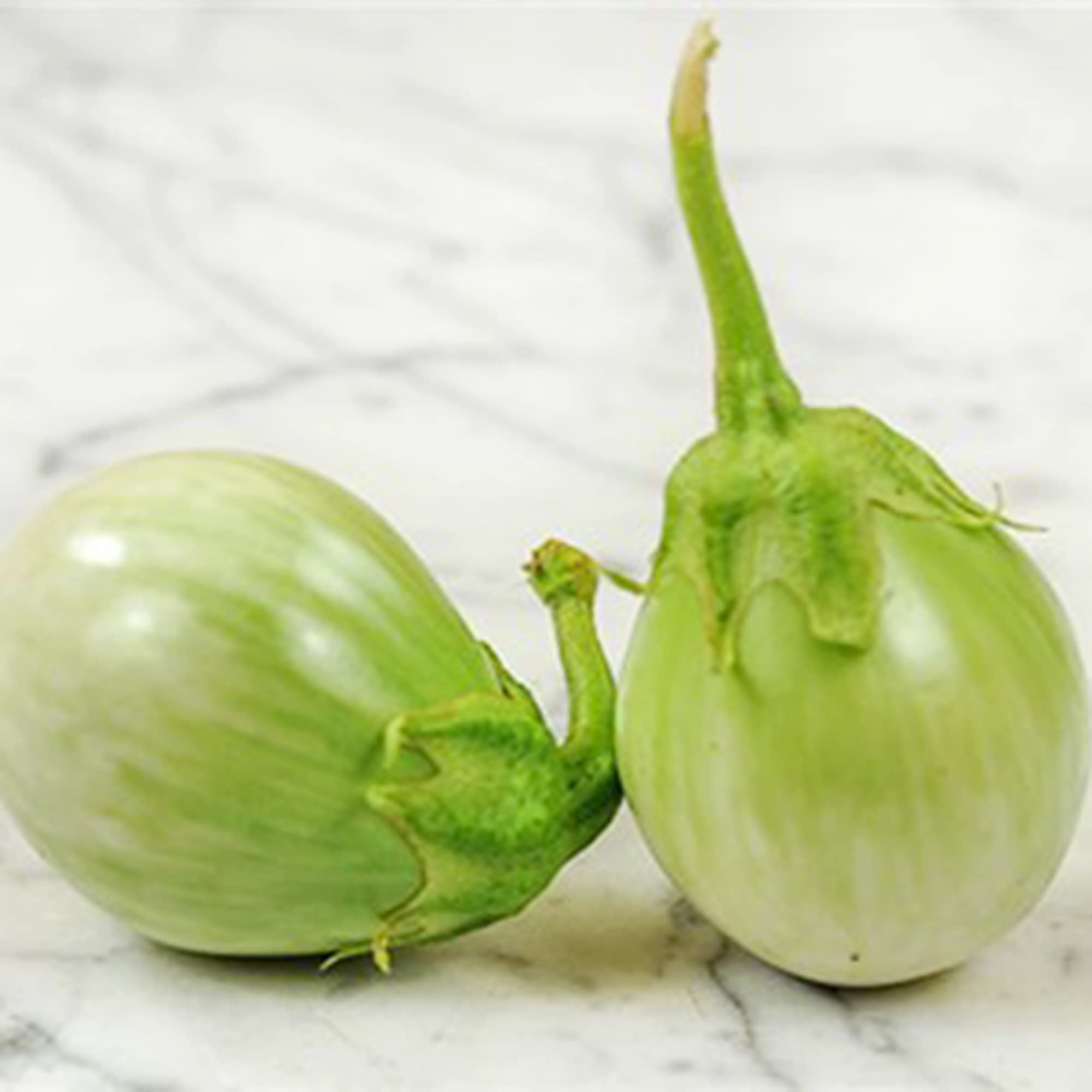 Amazon.com: QAUZUY GARDEN 25 顆圓形綠色茄子種子(黑瓜黃素)- 多產且