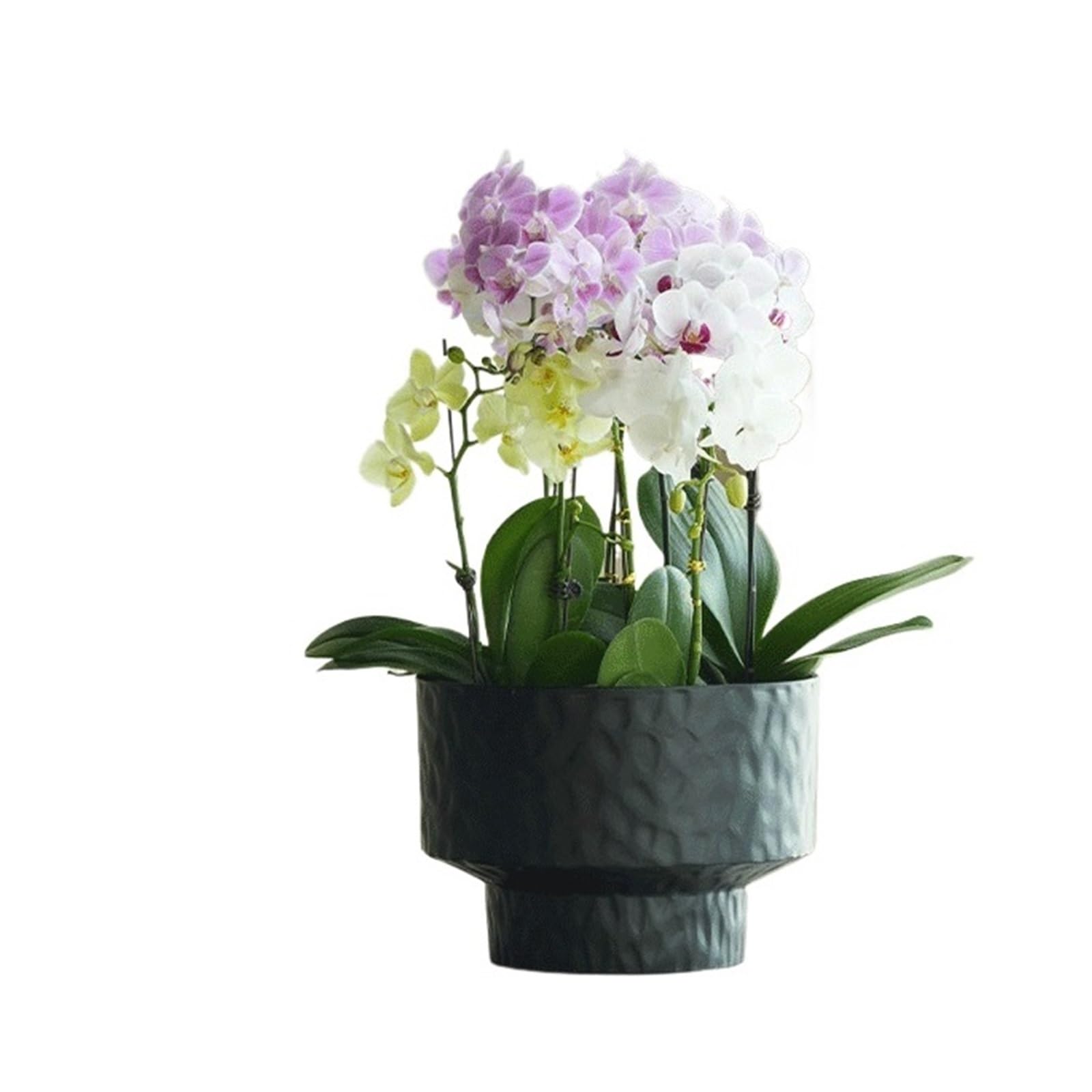 Cenz-888 flowerpot Minimalist Planters: These Round Planters Are Made Of Pearlescent Plastic Pots for Plants(Black,Medium)